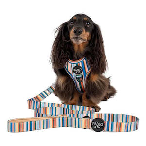 Leads: The Cabana- Lead- 1.5cm