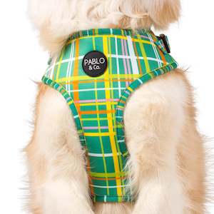 Groovy Grid: Adjustable Harness- M