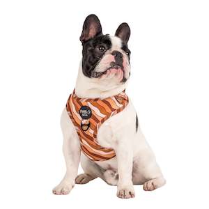Harnesses: Espresso Swirl: Adjustable Harness- L