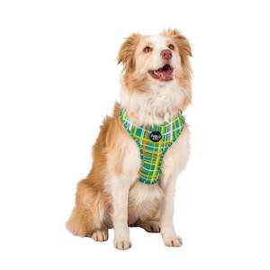 Groovy Grid: Adjustable Harness- S