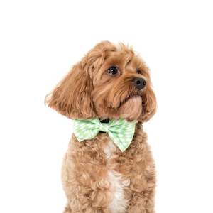 Bows: Lime Check Check - Bowtie - MEDIUM