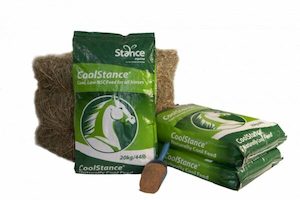 Horse Health: Coolstance Copra