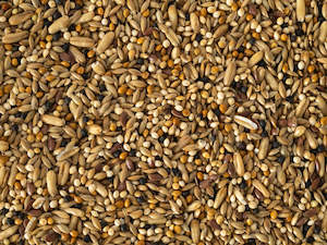 Budgie Boost Mix