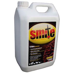Bird: Smite  Concentrate