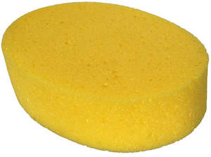 Stock: Sponge
