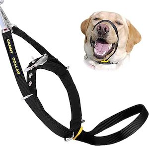 Training Equipment: Canny Collar