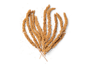 Bird Bedding Accessories: Millet Spray