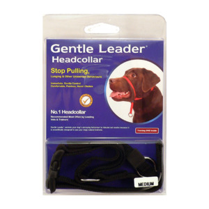 Dog Collars: Beau Pets - Gentle Leader Head Collar