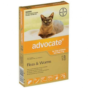 Advocate small cat and kitten under 4kg 3 pack Jen's Pet Supplies