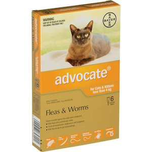 Advocate small cat and kitten under 4kg 6 pack Jen's Pet Supplies