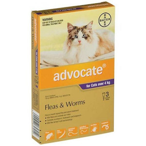 Advocate Large Cat (over 4kg) 3 pack Jen's Pet Supplies
