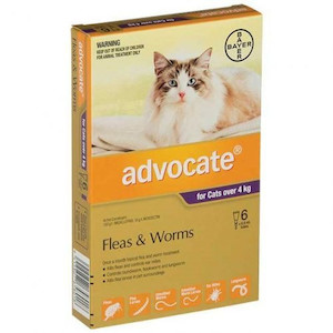Products: Advocate Large Cat 6 pack (4kg and over) Jen's Pet Supplies
