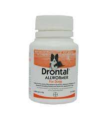 Drontal Wormer Dog up to 10 kg Jen's Pet Supplies