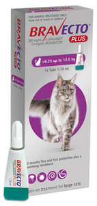Products: Bravecto Plus Large Cat (6.25kg-12.5kg) Jen's Pet Supplies