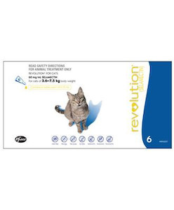 Revolution Cat 6 Pack Jen's Pet Supplies