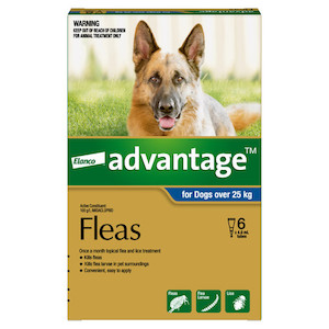 Advantage for Dogs over 25kg 6 pack Jen's Pet Supplies