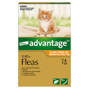 Advantage for small cats, kittens and rabbits (less than 4 kg) 4 pack Jen's Pet Supplies