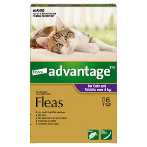 Advantage for Large Cats and Rabbits (over 4kg) 6 pack Jen's Pet Supplies