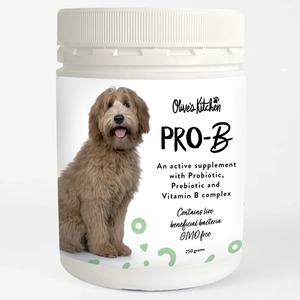 Products: Olive's Kitchen Pro-B Dog Supplement 250gm - Petworkz