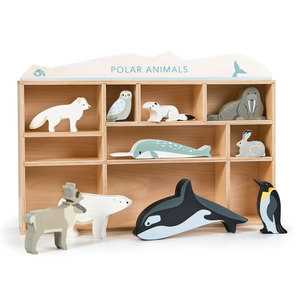 Products: 1 Piece Polar Animals Display Shelf Set – PGNZ