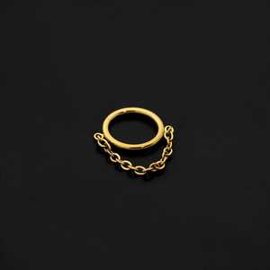 ASTM F136 Implant Grade Titanium Gold Chain Hinged Ring Clicker