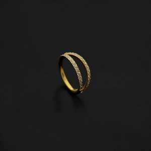 Ear Lobe: ASTM F136 Implant Grade Titanium Gold Split Hinged Ring Clicker