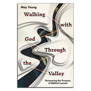 Grief Social Concerns: Walking with God Through the Valley - Print
