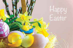 Daffodil Eggs Phoenix GreetingCard