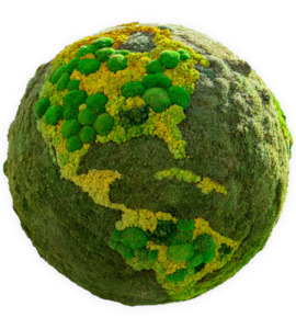 Going Digital: Going Digital