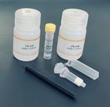 Protein Extraction: Minute™ Plant ER Enrichment Kit (20 preps) - PR-048