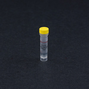 MinuteTM Protein Solubilization Reagent for MS WA-011