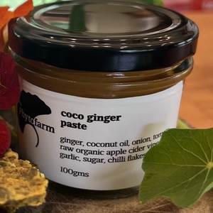 Products: coco ginger paste