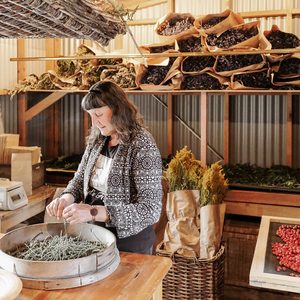 Products: winter warmer workshop “indulge”