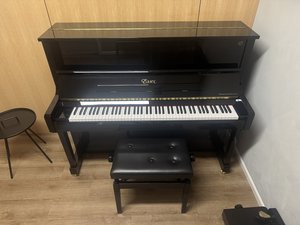 Products: 2021 Essex EUP-123 E187921C - Piano Land