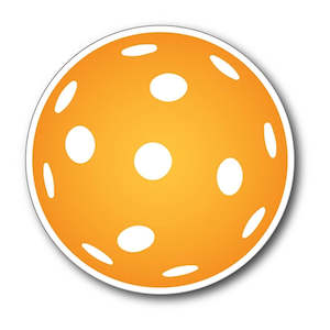 Pickleball Gifts: Large Pickleball Magnet