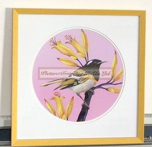 Products: Hihi Of The Wharaiki (Stitchbird) Print By Anna Evans
