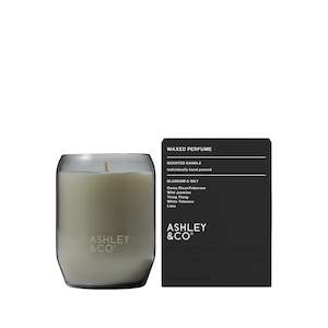 Ashley & Co - Waxed Perfume Candle - Blossom & Gilt