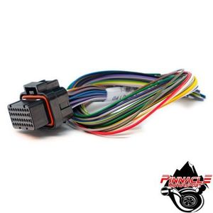 Link ECU - B-Loom Harness for Wire In ECUs