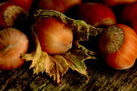 Fruit and Citrus Trees: Hazelnut Ennis