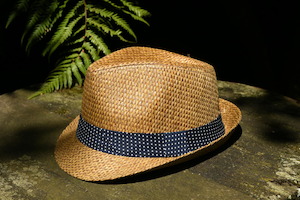 Hills Hats: Straw Trilby Hat