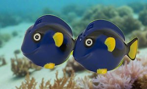 Blue Fish Nemo Salt & Pepper Set