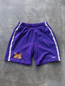 Vintage Sport And College: Vintage Purple Nike Michigan Shorts (M)