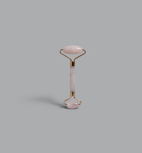 Facial Roller - Planning Initiatives