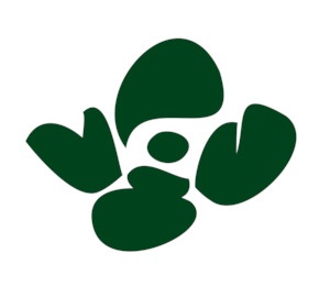 Products: What is Yerba Mate? Planta Mate NZ