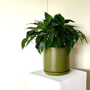 Products: Sawyer Pot, 27cm
