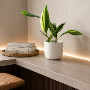 Products: Aloe Plicatilis