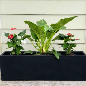 Matt Black Pedestal Pot, Medium