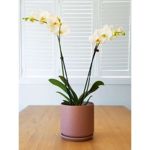 Products: Bali Planter, 45cm Black