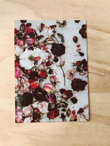 Products: Dried Roses Postcard by Plant & Share - Plant and Share