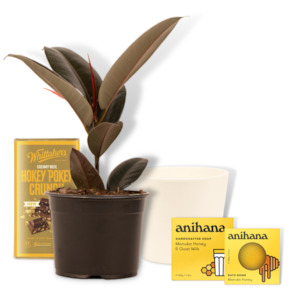 Gifts And Accessories: Estate Agent Client gifting solution